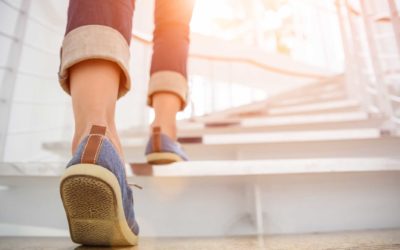 Natural Ways to Support Heart Health: Herbs, Lifestyle & Movement for Everyday Wellness