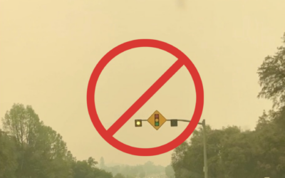 Botanicals for Lung Health During Wildfire Season